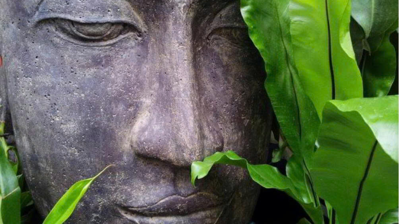 Trên Đường. Làm Thế Nào Để Trở Thành Một “Người Im Lặng”