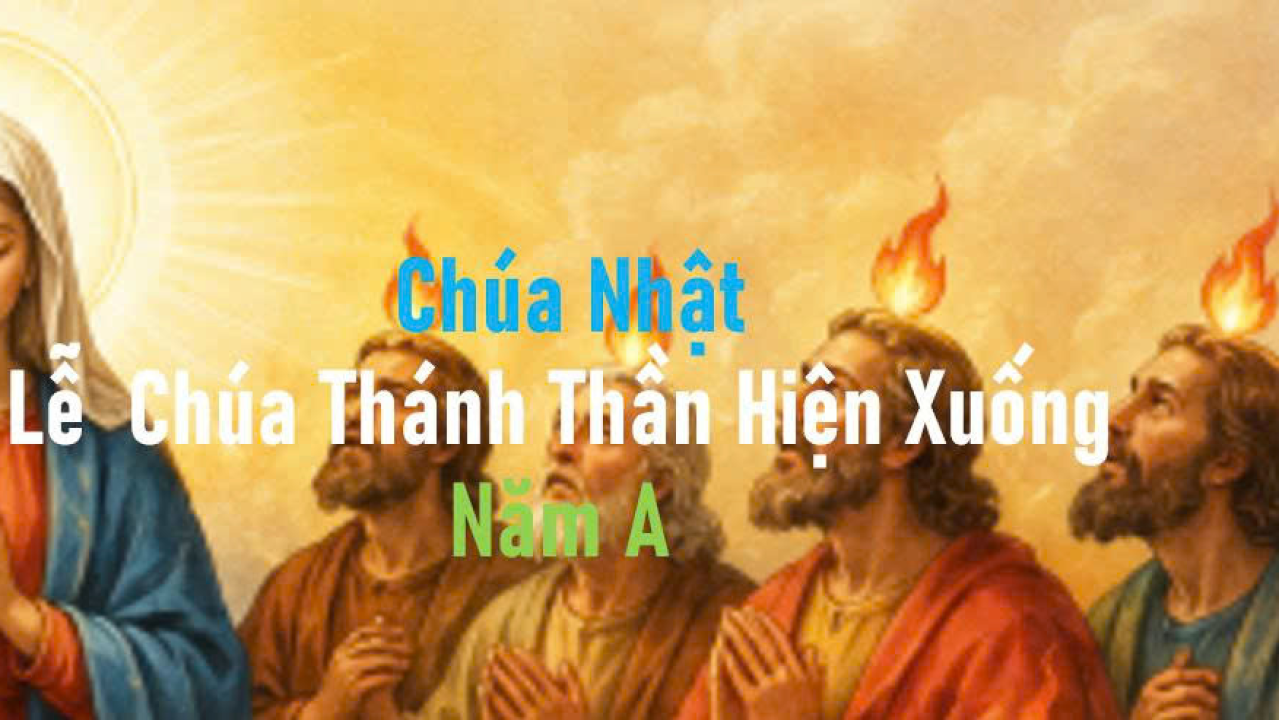 Lớn Lên Trong Ơn Thánh Thần
