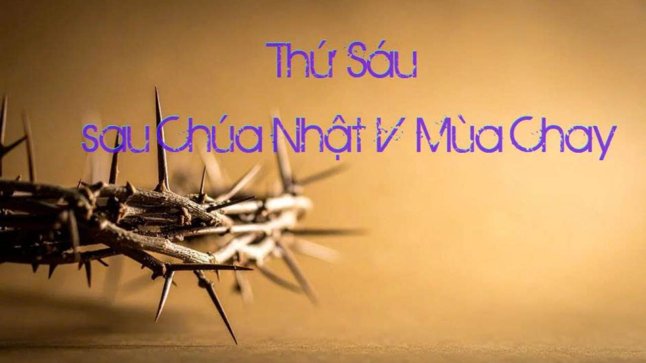 Sống Bình Tâm, Thánh Thiện Trước Những Chống Đối