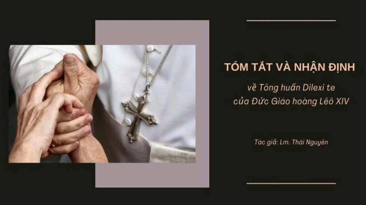 TÓM TẮT VÀ NHẬN ĐỊNH VỀ TÔNG HUẤN DILEXI TE CỦA ĐỨC GIÁO HOÀNG LÊÔ XIV