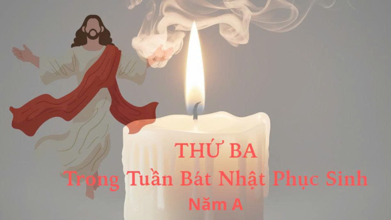 Chúng Ta Đang Tìm Kiếm Ai?