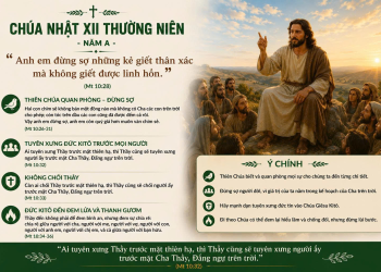  Sự Quan Phòng Của Thiên Chúa