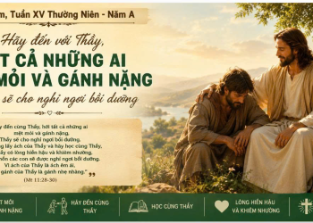 Đến Với Chúa Giêsu Để Được Nghỉ Ngơi