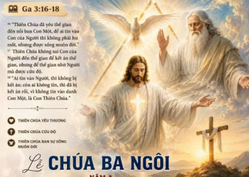 Hiệp Thông Trong Tình Yêu Và Sự Sống