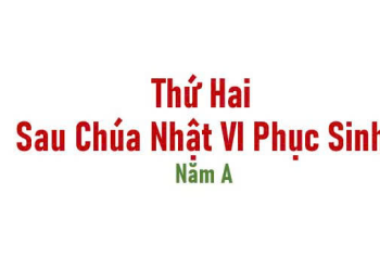  Chứng Nhân Của Chúa Giêsu