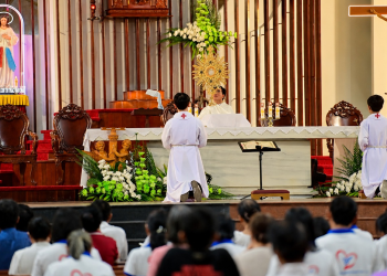 LBTM Saigon - Giáo xứ Thánh Phaolô: Mang bình an của Chúa đến giữa lòng thế giới