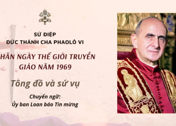 SỨ ĐIỆP NGÀY THẾ GIỚI TRUYỀN GIÁO NĂM 1969 - TÔNG ĐỒ VÀ SỨ VỤ