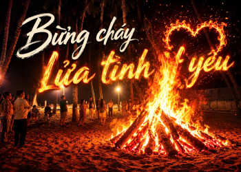 Chạm Đến Tình Chúa Qua Những Bước Chân Tình Người
