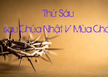 Sống Bình Tâm, Thánh Thiện Trước Những Chống Đối