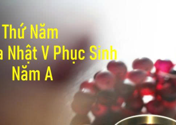 Niềm Vui Được Ở Lại Trong Tình Yêu Của Chúa Giêsu