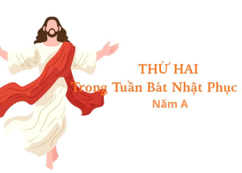 Trở Về Gặp Chúa Giêsu Nơi Khởi Đầu