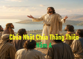 Nước Trời: Quê Hương Thật Của Chúng Ta