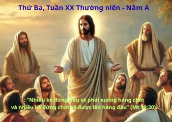 Đi Tìm Phần Thưởng Mai Sau
