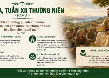 Sống Theo Lời Chúa Giêsu Chỉ Dạy