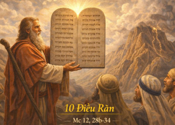 Sống Yêu Chúa Yêu Người Cho Trọn Vẹn