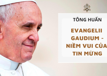 TÔNG HUẤN  NIỀM VUI CỦA TIN MỪNG EVANGELII GAUDIUM 